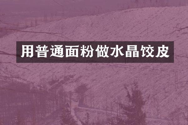 用普通面粉做水晶饺皮