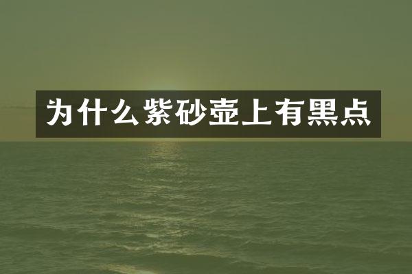 为什么紫砂壶上有黑点