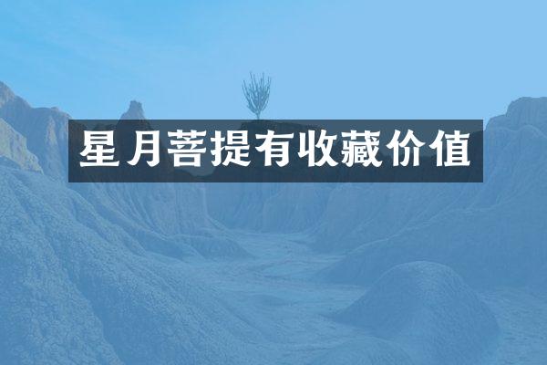 星月菩提有收藏价值
