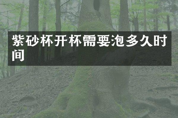 紫砂杯开杯需要泡多久时间