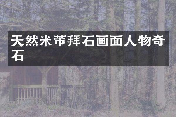 天然米芾拜石画面人物奇石