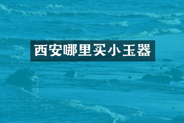 西安哪里买小玉器