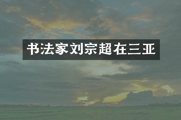 书法家刘宗超在三亚