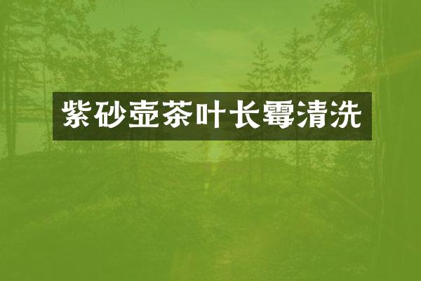 紫砂壶茶叶长霉清洗