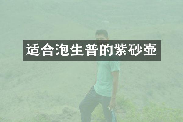 适合泡生普的紫砂壶