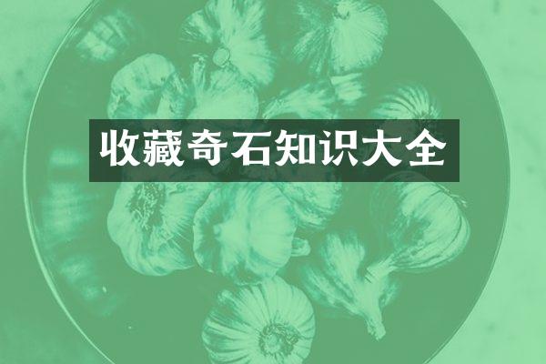 收藏奇石知识大全