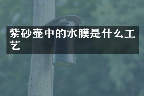 紫砂壶中的水膜是什么工艺