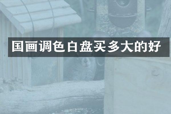 国画调色白盘买多大的好