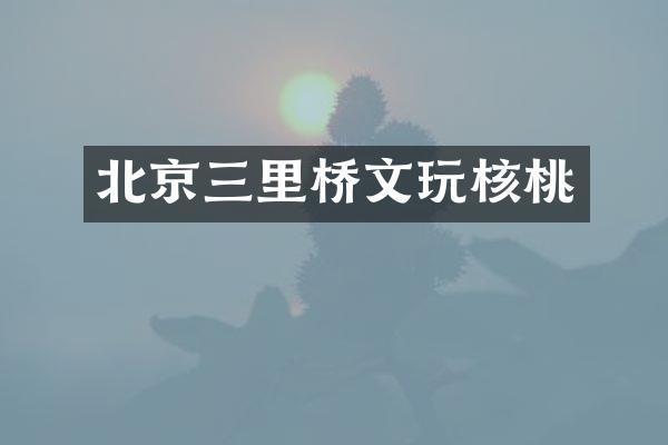 北京三里桥文玩核桃
