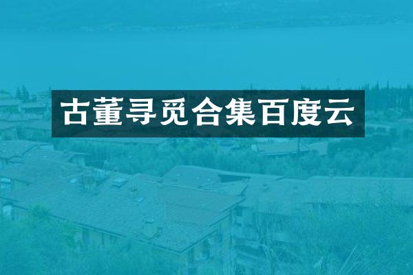 古董寻觅百度云