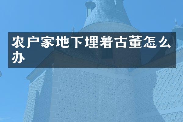 农户家地下埋着古董怎么办