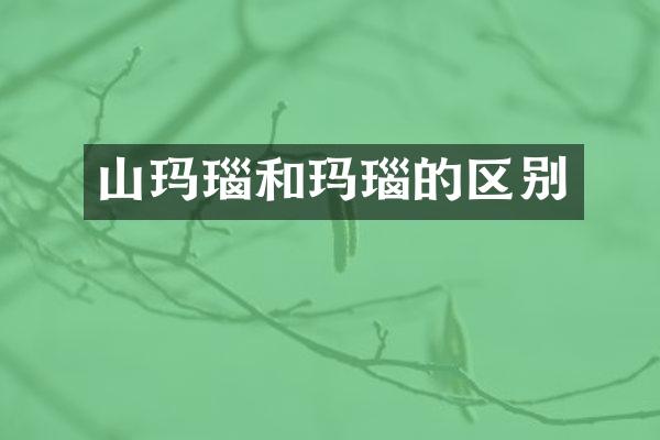 山玛瑙和玛瑙的区别