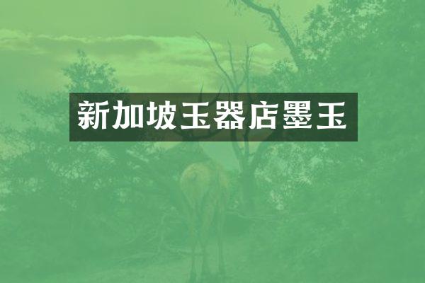 新加坡玉器店墨玉