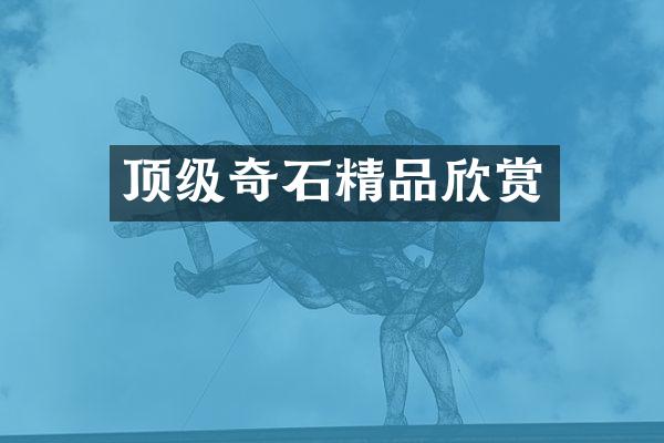 顶级奇石精品欣赏