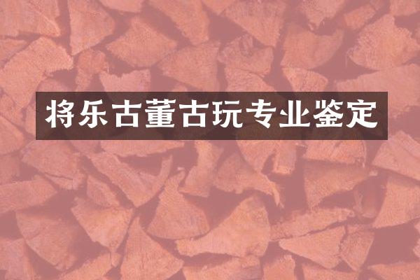 将乐古董古玩专业鉴定