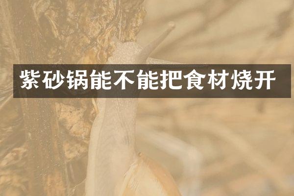 紫砂锅能不能把食材烧开