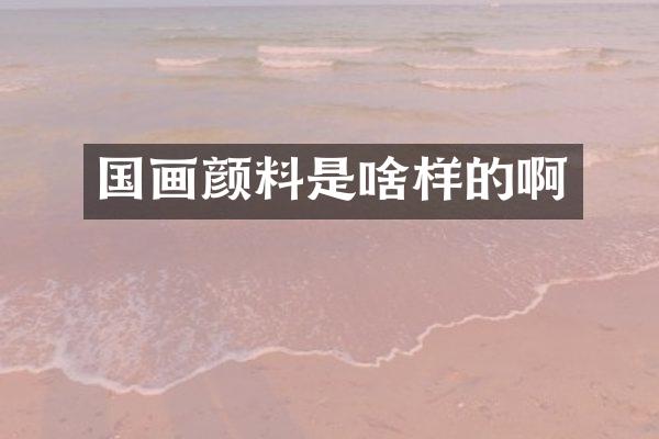 国画颜料是啥样的啊