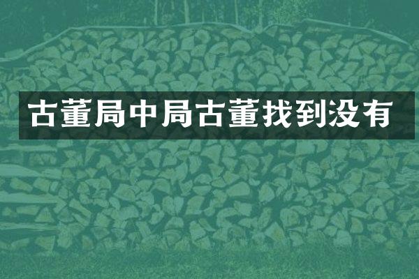 古董局中局古董找到没有