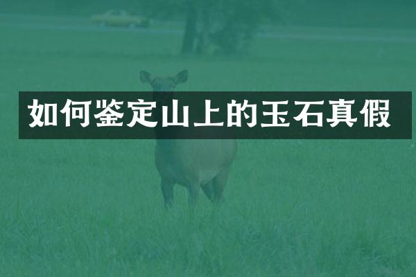 如何鉴定山上的玉石真假