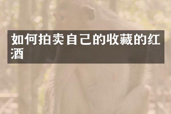 如何拍卖自己的收藏的红酒
