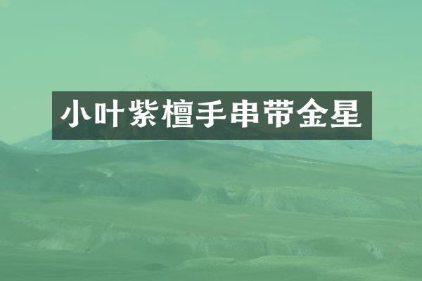 小叶紫檀手串带金星