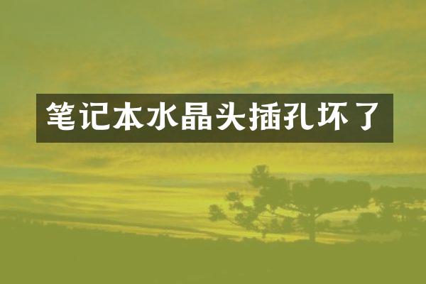 笔记本水晶头插孔坏了