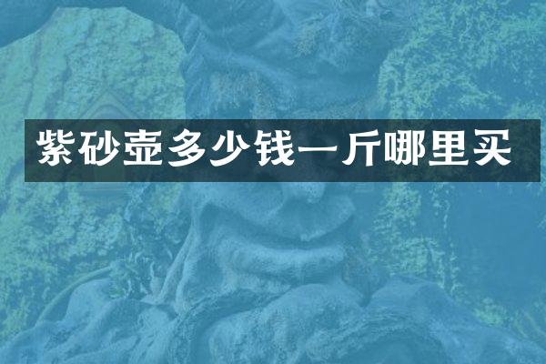 紫砂壶多少钱一斤哪里买