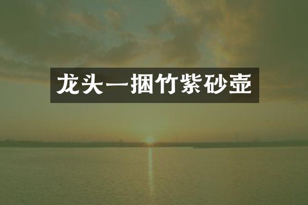 龙头一捆竹紫砂壶