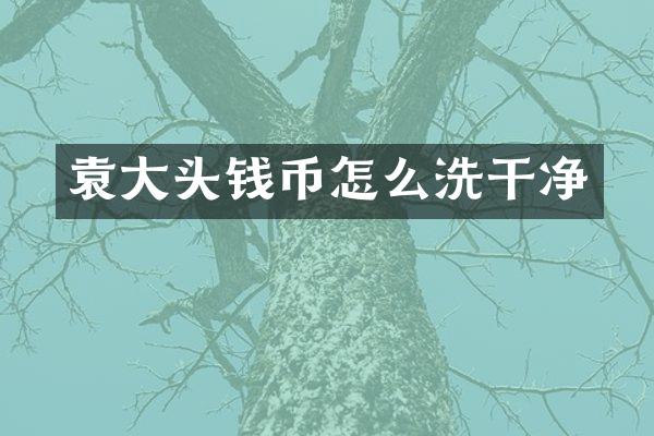 袁大头钱币怎么洗干净