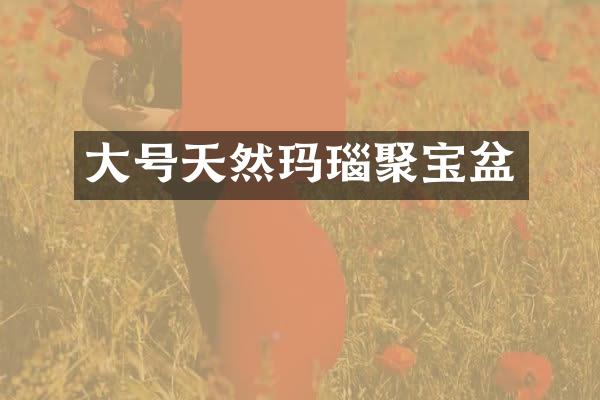 大号天然玛瑙聚宝盆