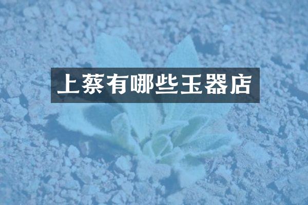 上蔡有哪些玉器店