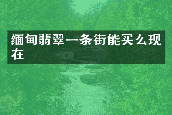 缅甸翡翠一条街能买么现在
