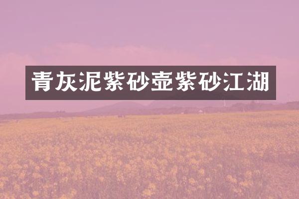 青灰泥紫砂壶紫砂江湖