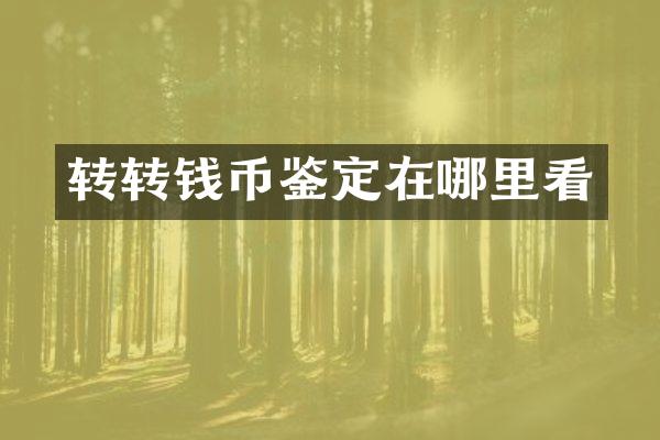转转钱币鉴定在哪里看
