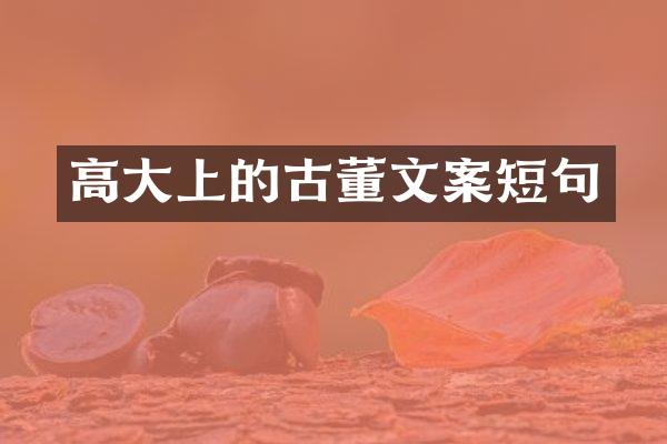 高大上的古董文案短句