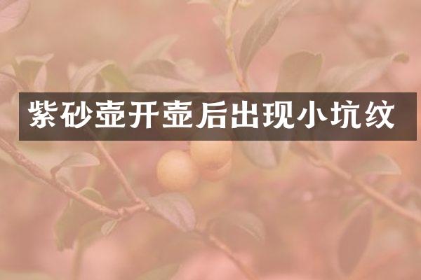 紫砂壶开壶后出现小坑纹