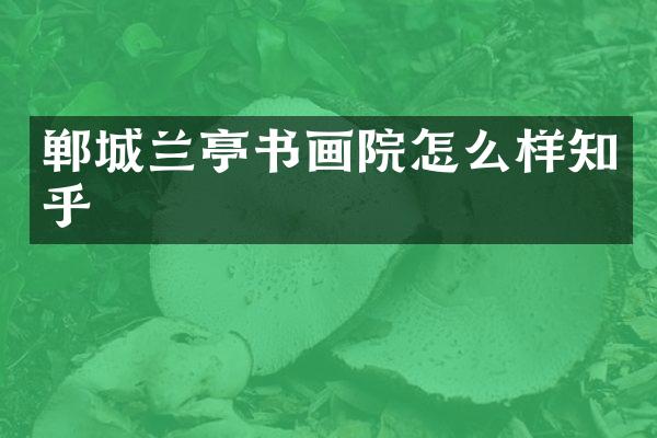 郸城兰亭书画院怎么样知乎