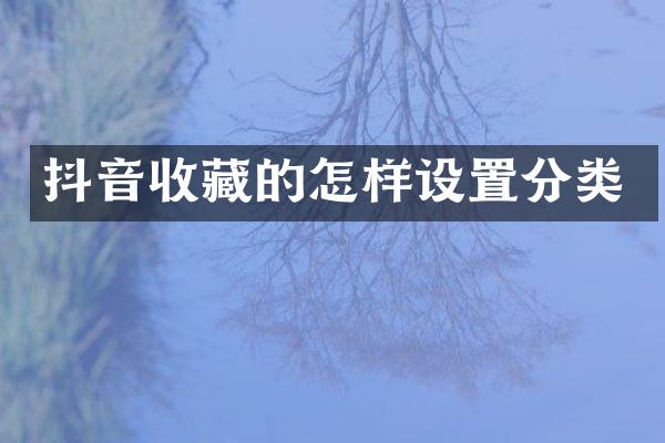 抖音收藏的怎样设置分类