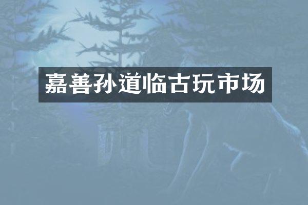 嘉善孙道临古玩市场