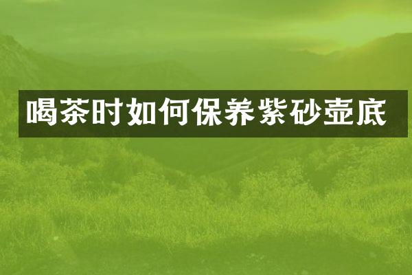 喝茶时如何保养紫砂壶底