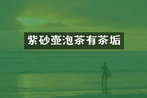 紫砂壶泡茶有茶垢