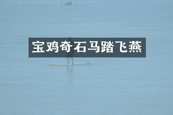 宝鸡奇石马踏飞燕