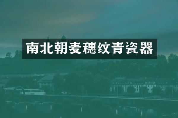 南北朝麦穗纹青瓷器