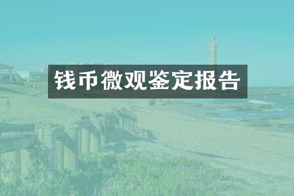 钱币微观鉴定报告