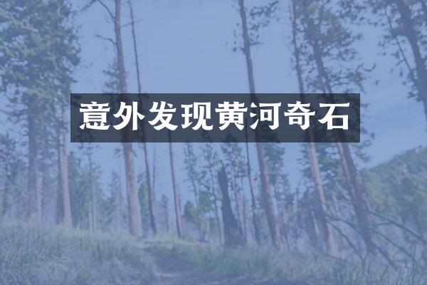 意外发现黄河奇石