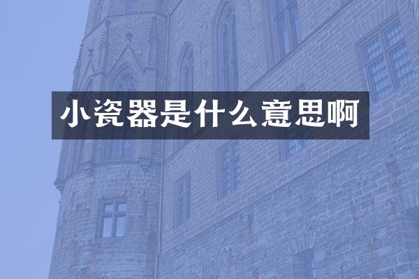 小瓷器是什么意思啊