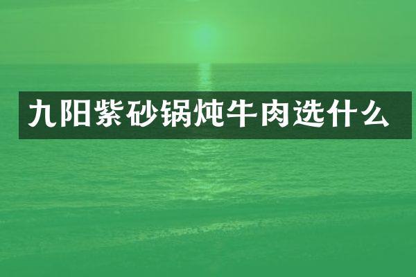 九阳紫砂锅炖牛肉选什么