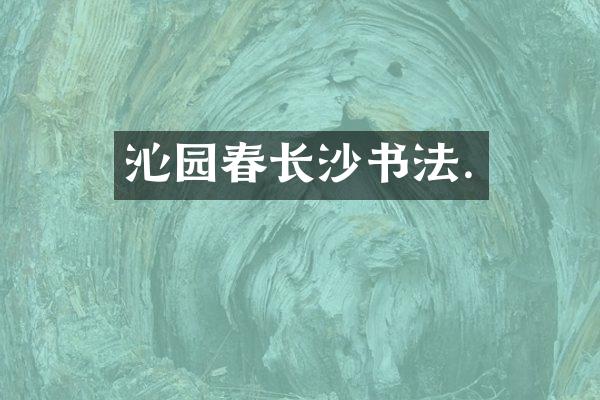 沁园春长沙书法.