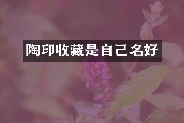 陶印收藏是自己名好