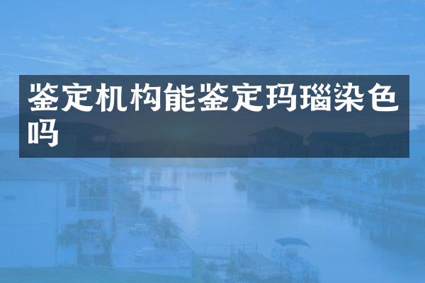 鉴定机构能鉴定玛瑙染色吗